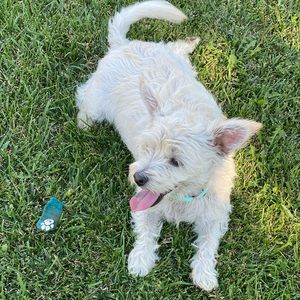 Meet your Posher, Maria